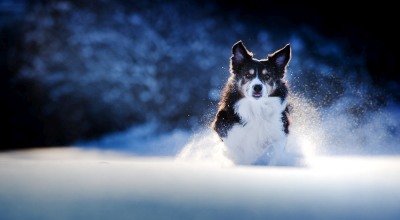 Bjorn h stuedal fotografi Bjørn h stuedal