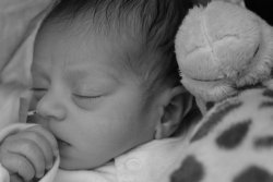 an example of the images created by Amanda Bickley
