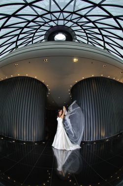 an example of the images created by Phil Bourne