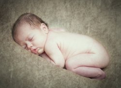 an example of the images created by Jennifer Carson