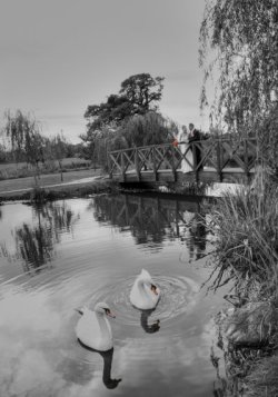 an example of the images created by Nadine Lee