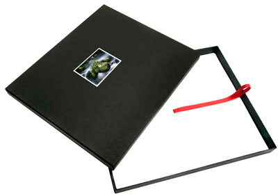 blurb books