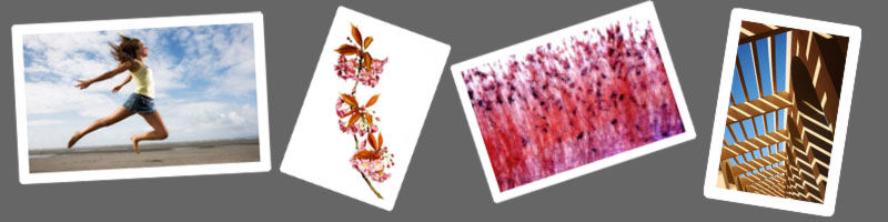 Print Comp Winners