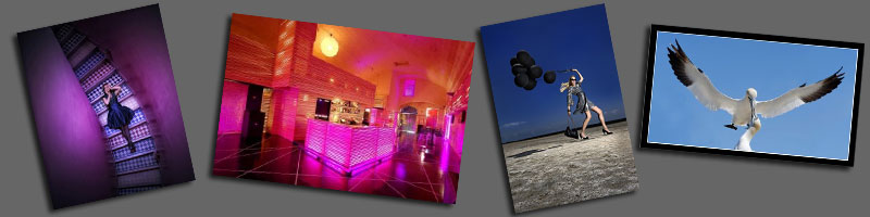 Print Comp Winners