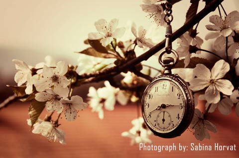 Spring Time Comp