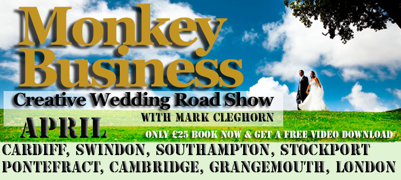 Monkey Business 4