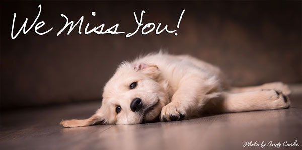 We miss you!