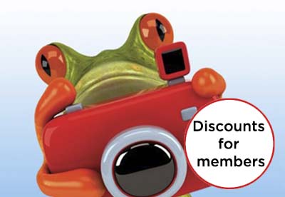 insurance