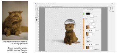 cat-bowl-03.jpg