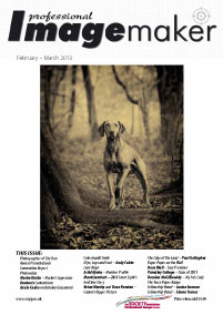 February/March 2013 Professional Imagemaker Magazine
