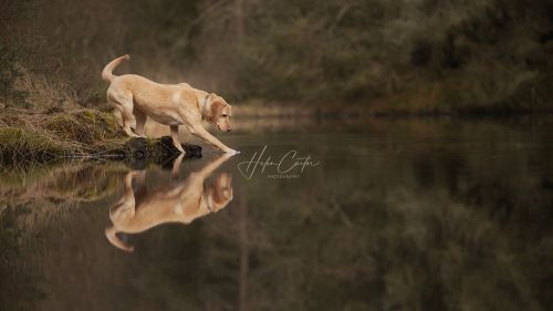 Image by Helen Carter