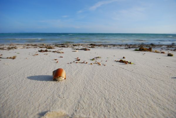 Image by Jakob Gronkjaer