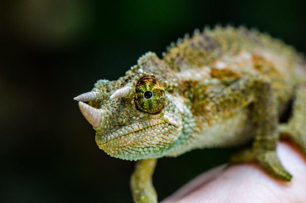 Image by Jakob Gronkjaer