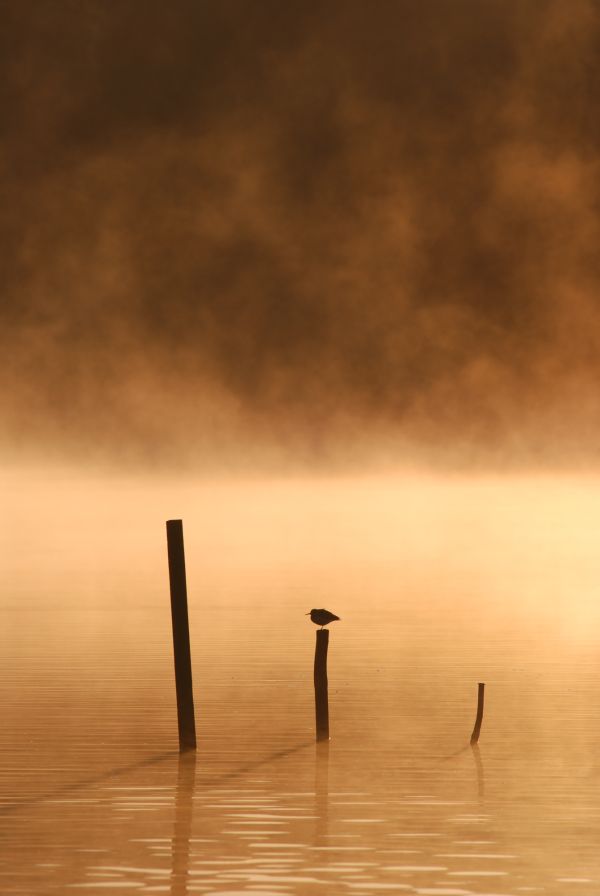 Image by Jakob Gronkjaer