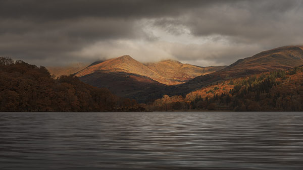 Image by Martin Robinson