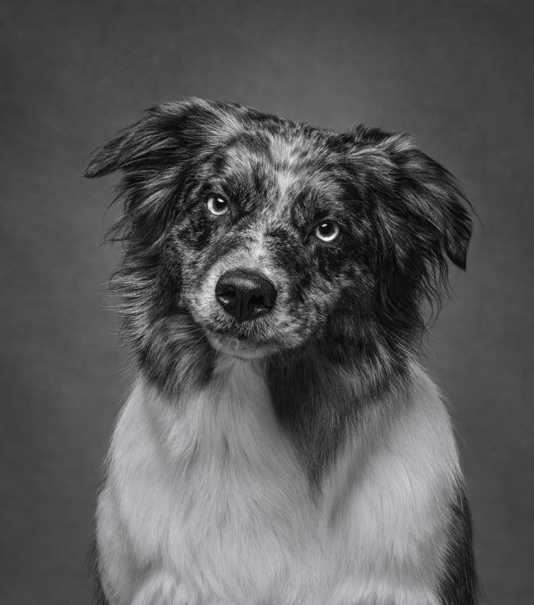 Image by Martin Robinson