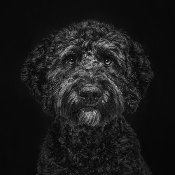 Image by Martin Robinson