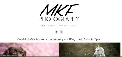 an example of the images created by Mathilda Franzn