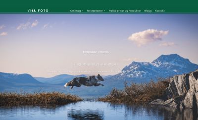 an example of the images created by Katie Gyltnes