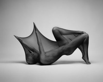 an example of the images created by Fiona Spence