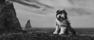 an example of the images created by Craig Turner-Bullock