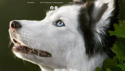 an example of the images created by Mari Verkkonen