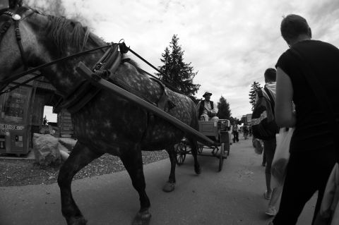 Street Photography