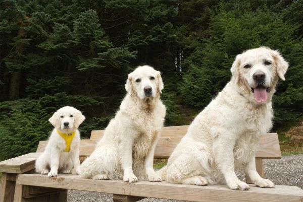 Pet Photography Competition Entry 58