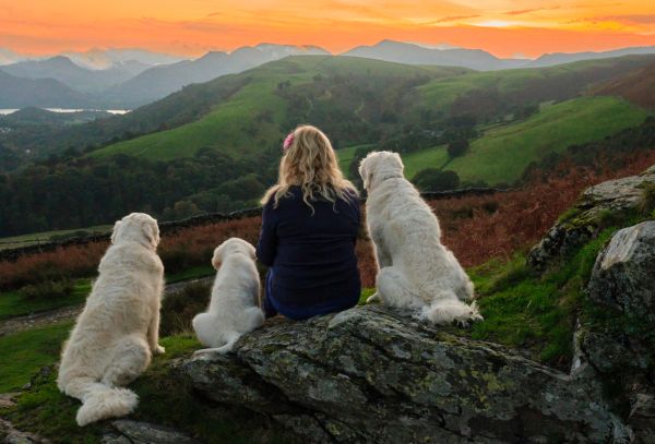 Pet Photography Competition Entry 60