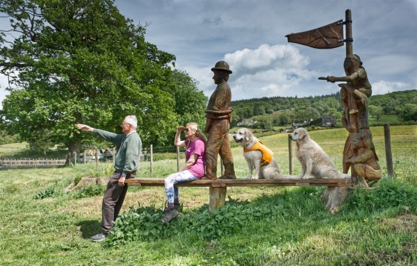 Pet Photography Competition Entry 61